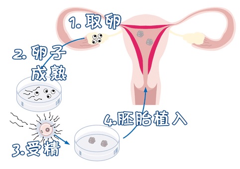 实验室3